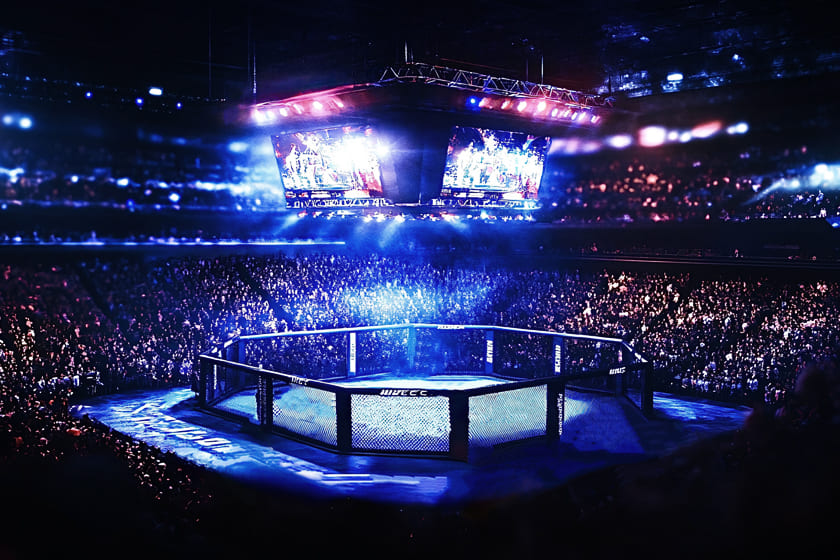 UFC Octagon